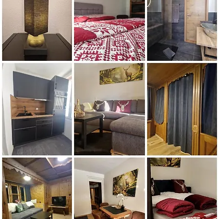 Fewo's Und Apartment's Blaues Haus Apartment Davos