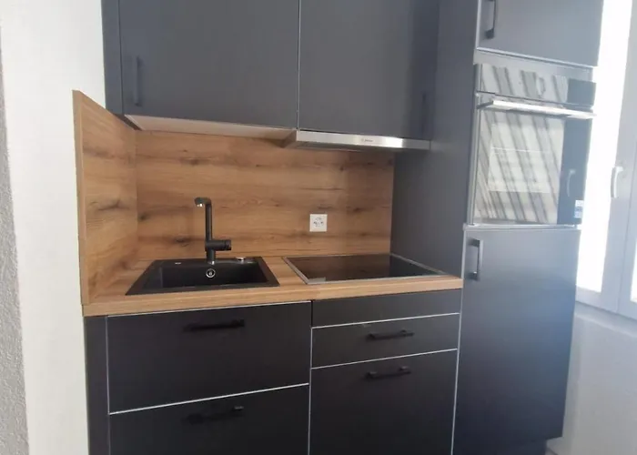 公寓 Fewo's Und Apartment's Blaues Haus