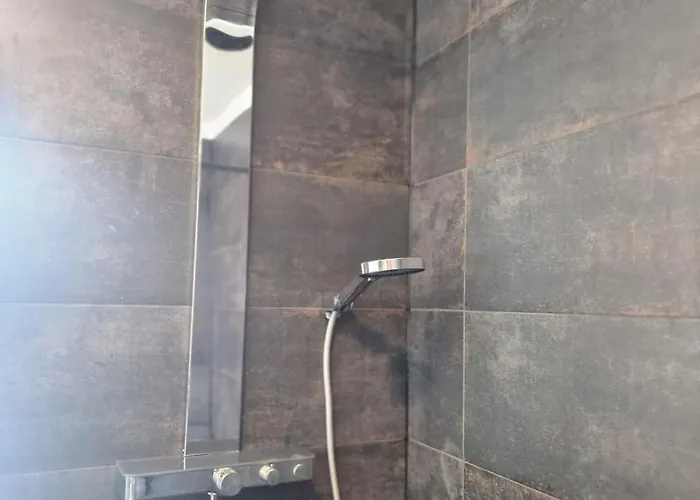 公寓 Fewo's Und Apartment's Blaues Haus 达沃斯