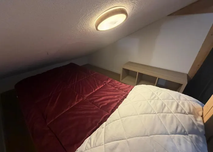 公寓 Fewo's Und Apartment's Blaues Haus